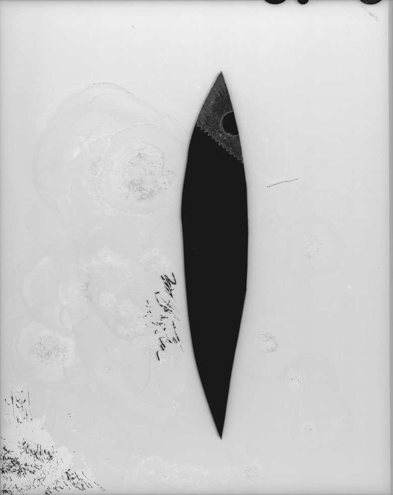 From the series: Claire A. Warden: Mimesis