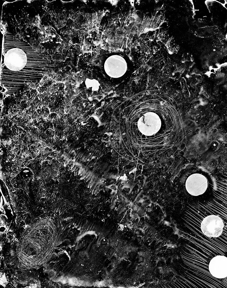 From the series: Claire A. Warden: Mimesis
