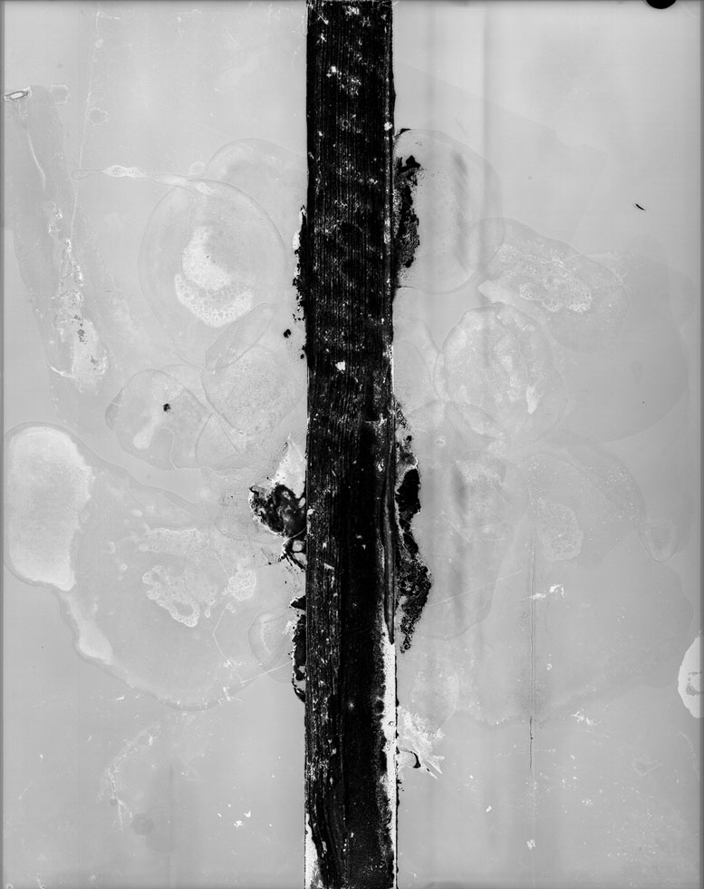 From the series: Claire A. Warden: Mimesis