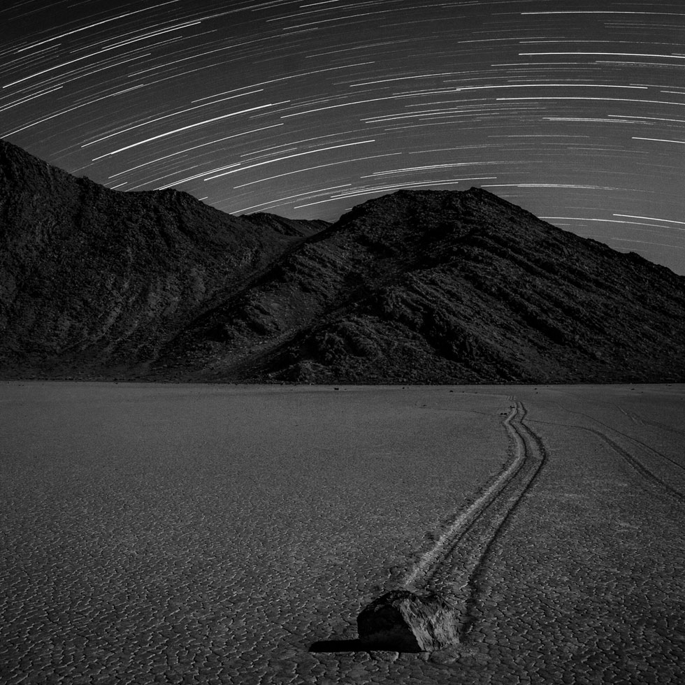 Starlight on the Racetrack