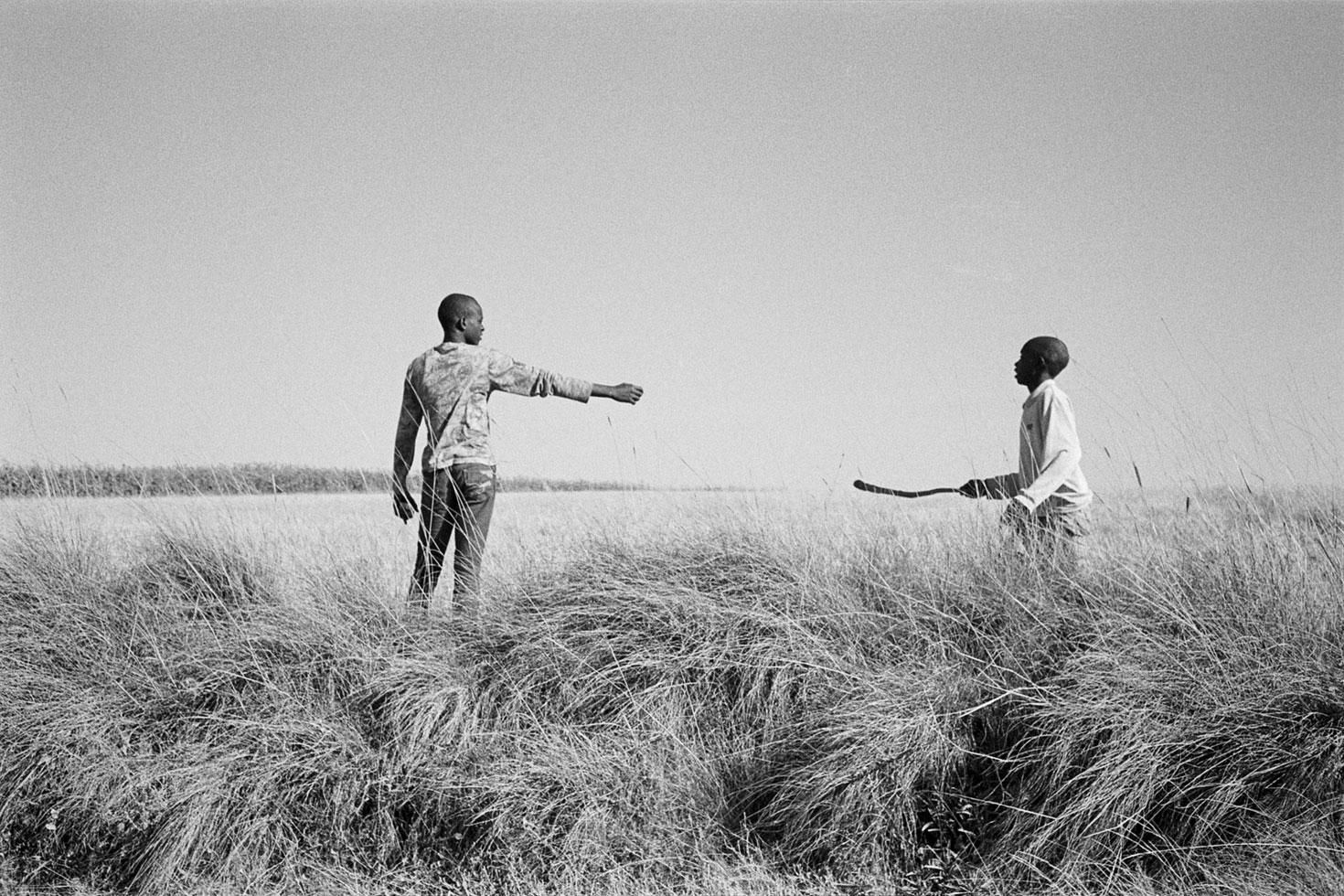 From the series: Jordan Campbell: The Thorns We Walk Upon