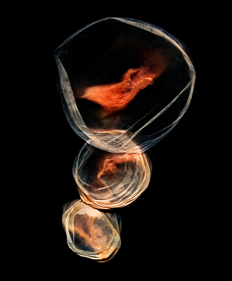 Conception