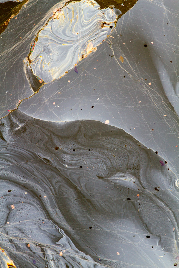 From the series: Bill Miller: Gowanus Canal