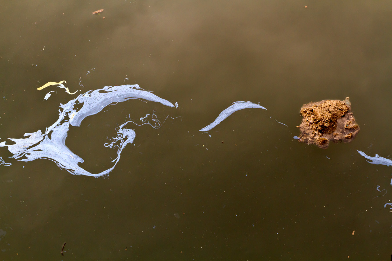 From the series: Bill Miller: Gowanus Canal