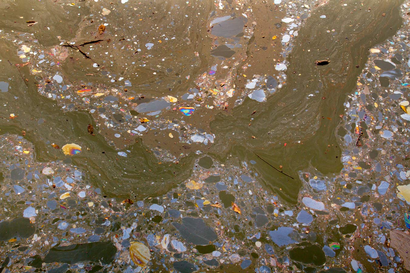 From the series: Bill Miller: Gowanus Canal