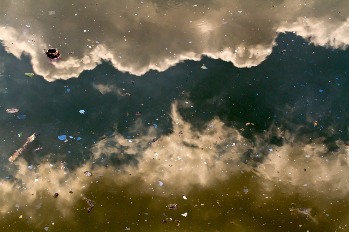 From the series: Bill Miller: Gowanus Canal