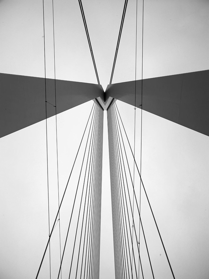 From the series: Cameron R. Neilson: Straight Up