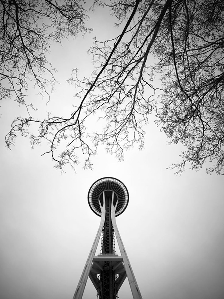From the series: Cameron R. Neilson: Straight Up