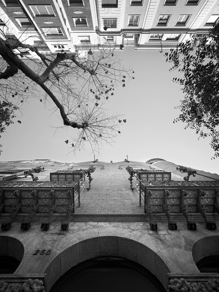 From the series: Cameron R. Neilson: Straight Up