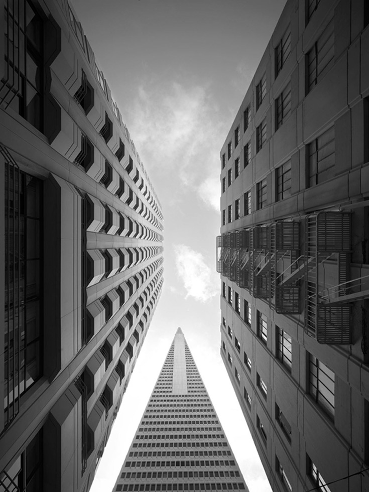 From the series: Cameron R. Neilson: Straight Up