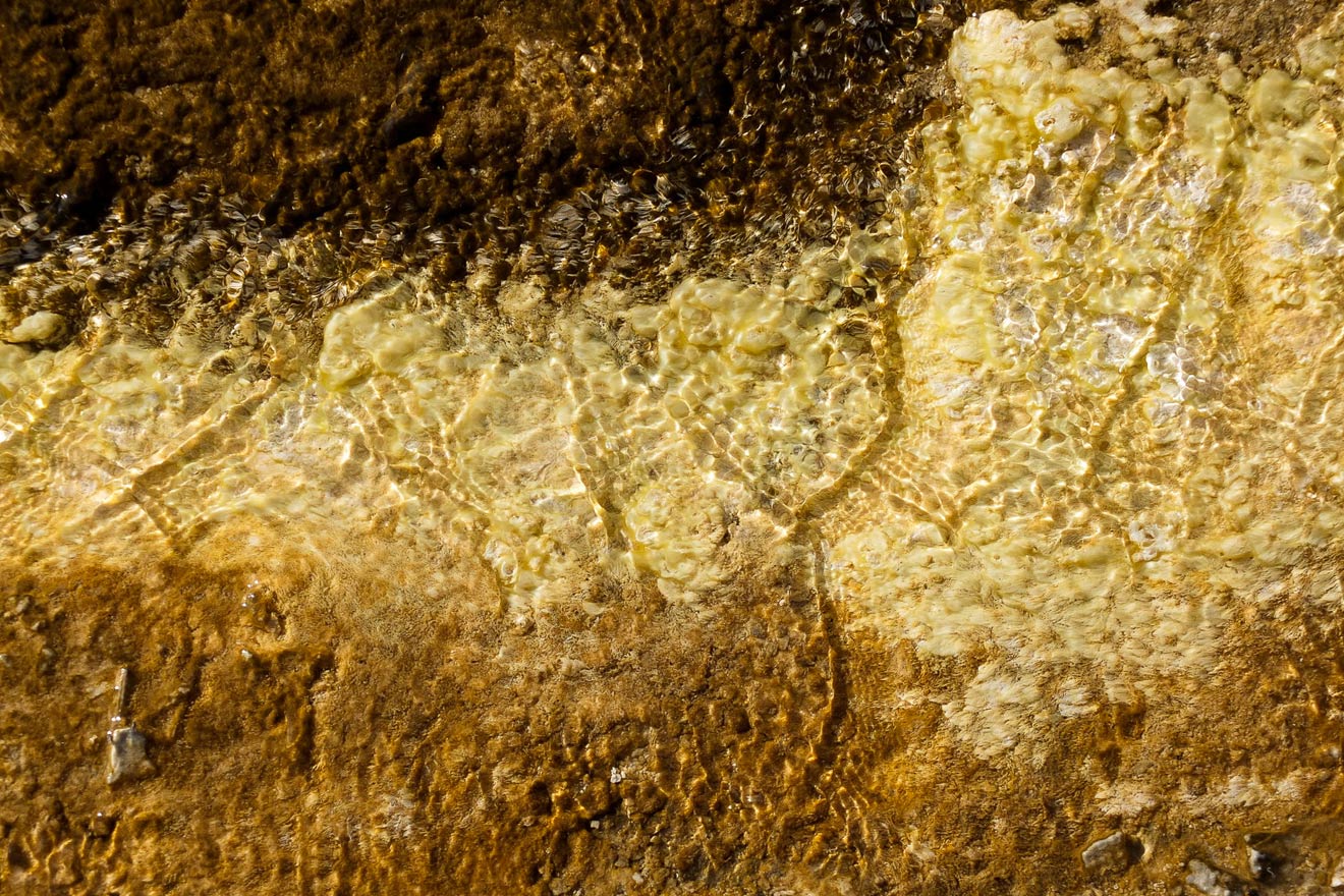 From the series: Dave Reichert: Stinking Holes in the Ground