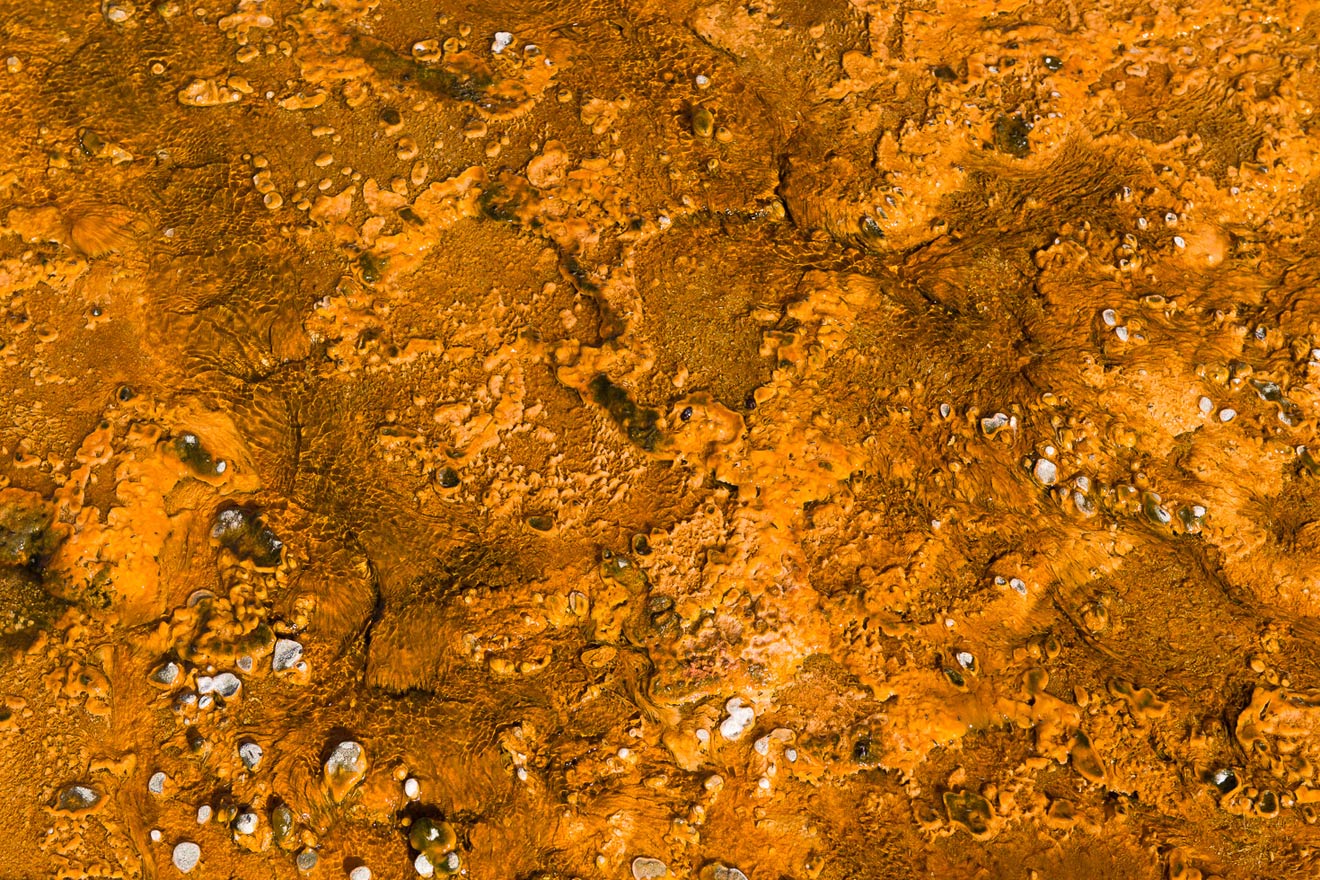 From the series: Dave Reichert: Stinking Holes in the Ground