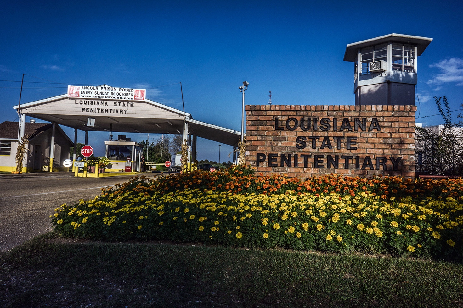 Photos and text Giles Clarke, assisted by Lawrence Sumulong.
Angola is home to 6,200 inmates, 83 of them on Death Row. There are 1,600 staff members overseeing operations. According to Louisiana State Penitentiary PR Director Gary Young, "On any given Sunday in October (or Saturday in April), there are approximately 160 offenders that participate in the event. There is no limit on how many can participate in each rodeo, however there are certain events [where] there are more requests to participate than available slots allow. All applicants are accepted as long as they meet certain requirements, such as medical standards. They also have to be medium or minimum custody. No maximum custody are allowed to participate. All applicants are screened by security to ensure that they pose no security risk. There are approximately 1,500 offenders that participate in arts, crafts, bands and food support."