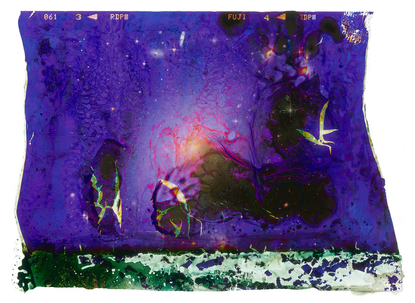 A Photograph of an Elliptical Galaxy Eaten by Bacteria Found on My Toilet Seat