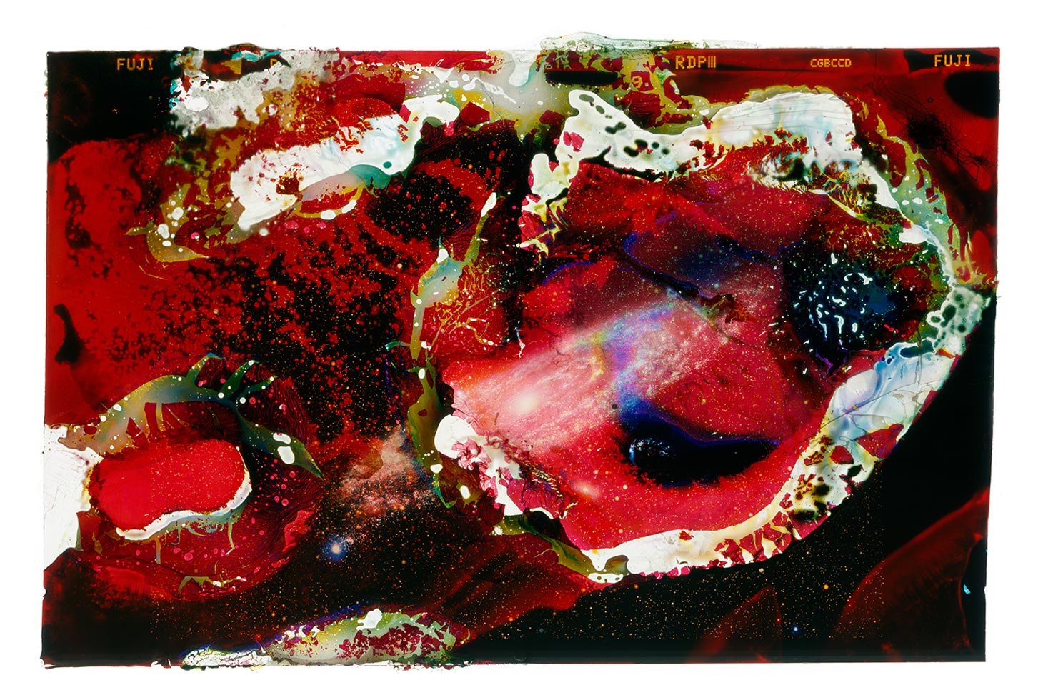 A Photograph of the Andromeda Galaxy Eaten by Bacteria Found on an ATM