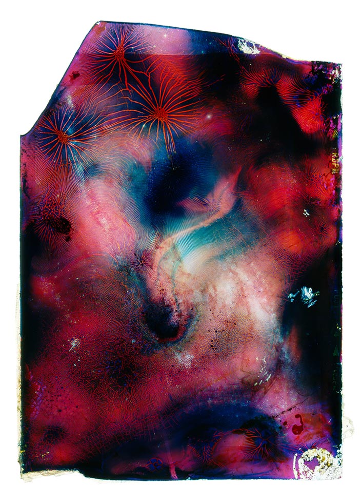 A Photograph of the Snake Nebula Eaten by Bacteria Found Inside the Confessional of My Childhood Church