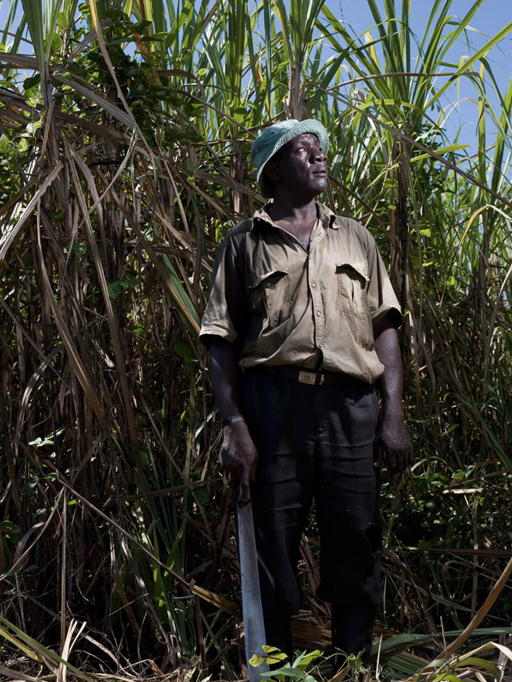 For the last three months Chito has been working in the fields chopping down cane. If he fills a truck, his boss Hector pays him about 500 pesos (15 US$), for two days of work. The sugar cane season, which is known as "Zafra," lasts four months. Although Chito considers himself lucky to have work in the community, he has always wanted a steady job.