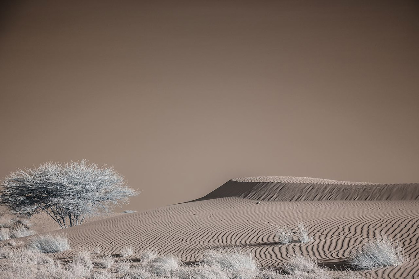 Over 80 percent of Niger is covered by the Sahara desert.