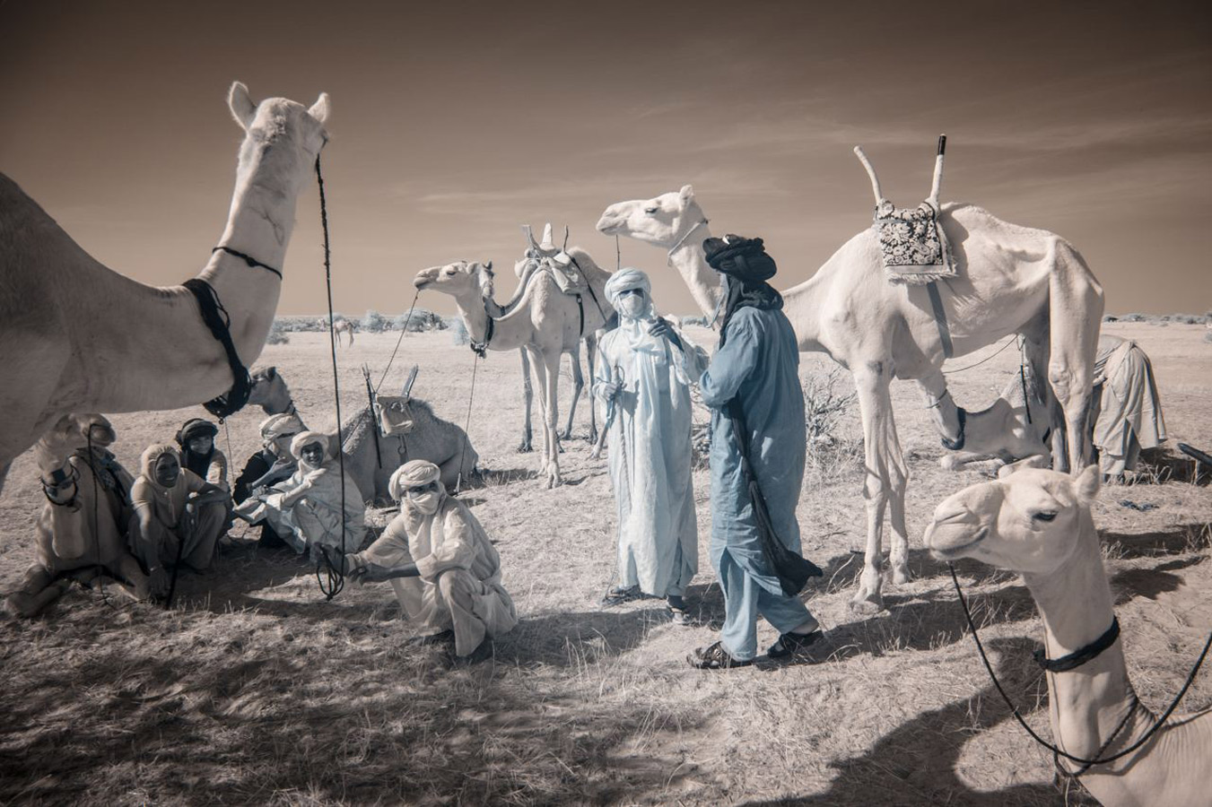 "In the end, our only heritage is the cultural diversity of our planet."