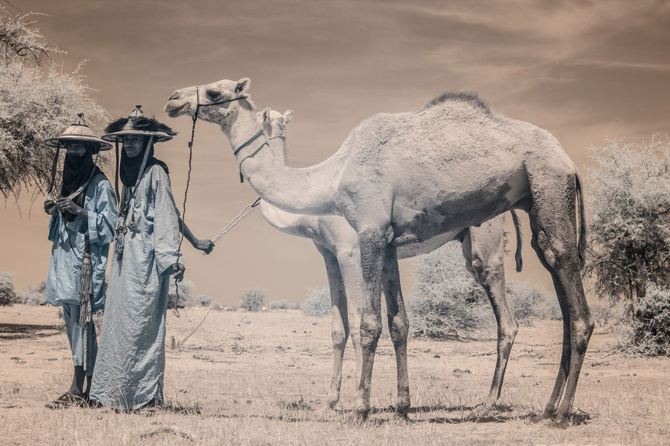 From the series: Terri Gold: 1000 Nomads