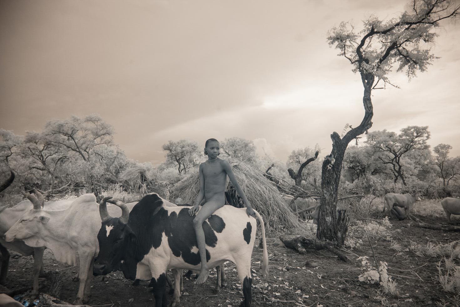 From the series: Terri Gold: Omo Valley