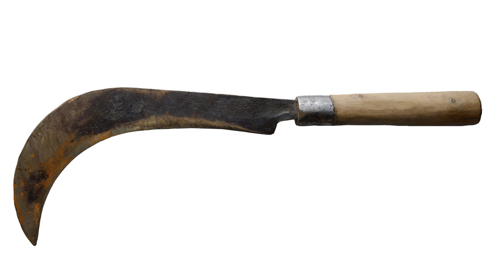 From the series: Vanessa Ahlsborn: The Machete Project