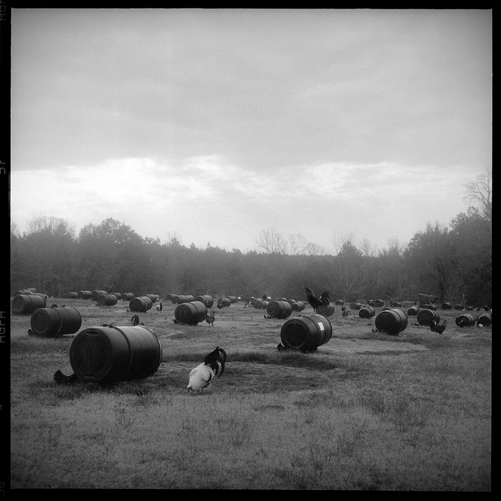 From the series: Betty Press: The Place I Live