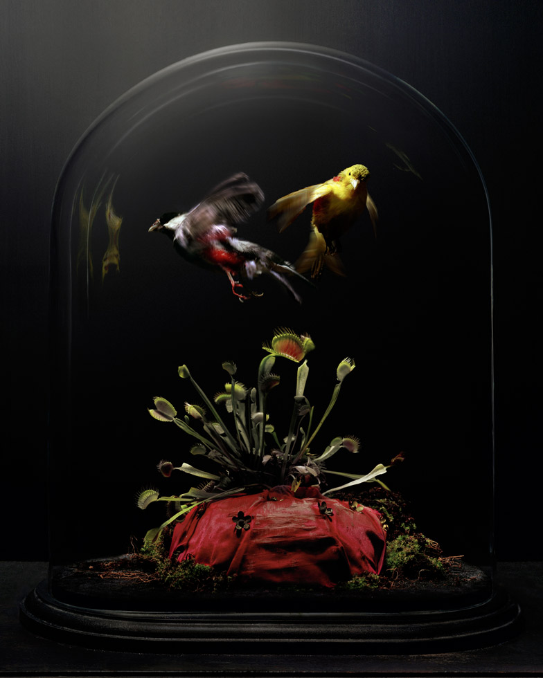 Globe de Mariée 2, Carole Suety (UK)

1st place in the Still Life category
