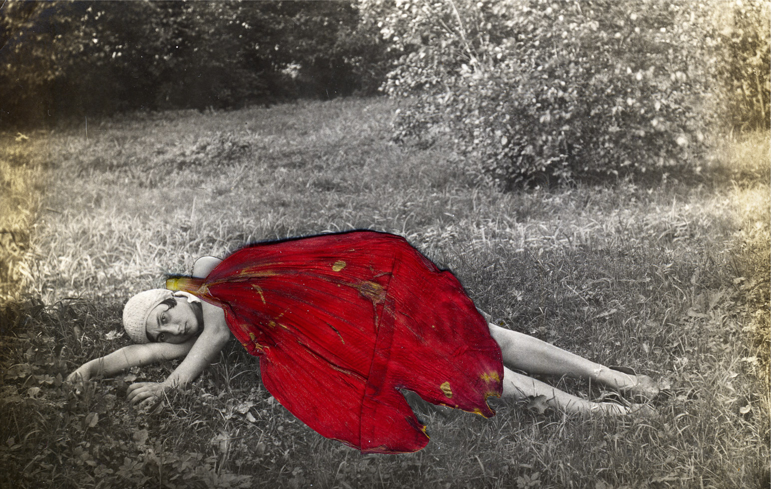 Running to the Edge, Julia Borissova (Russia)

1st place in the Experimental category