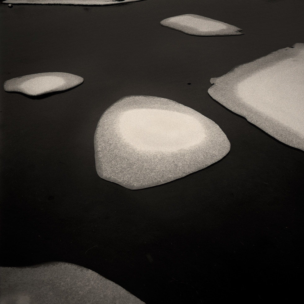 Ice Pads
Þingvellir, Iceland, 2011