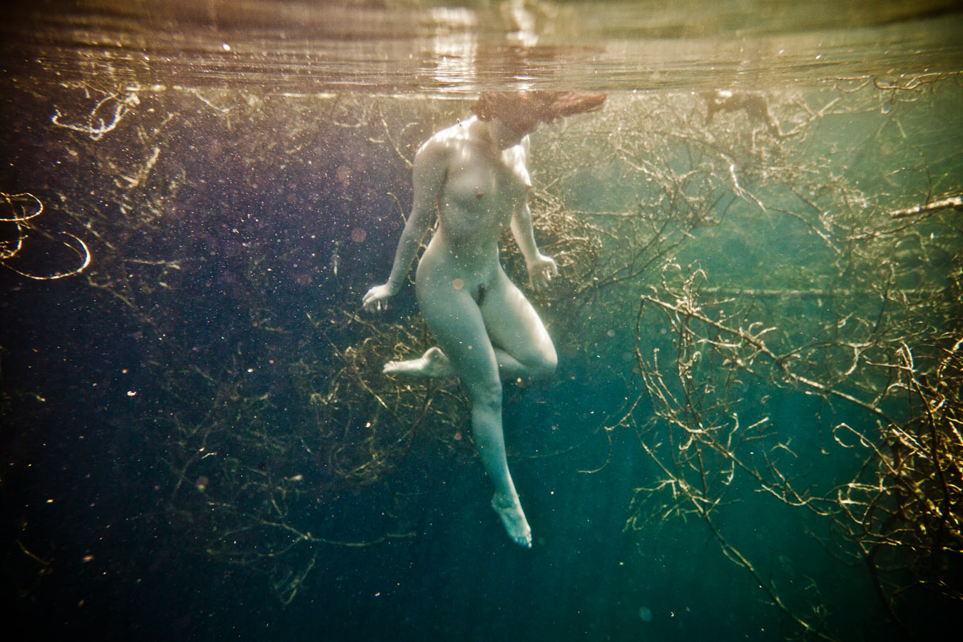 From the series: Neil Craver: Omni-Phantasmic
