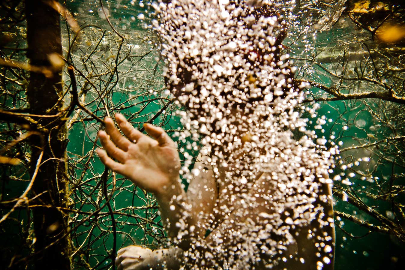 From the series: Neil Craver: Omni-Phantasmic