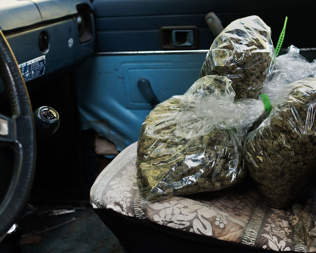 From the series: H. Lee: From farm to table
