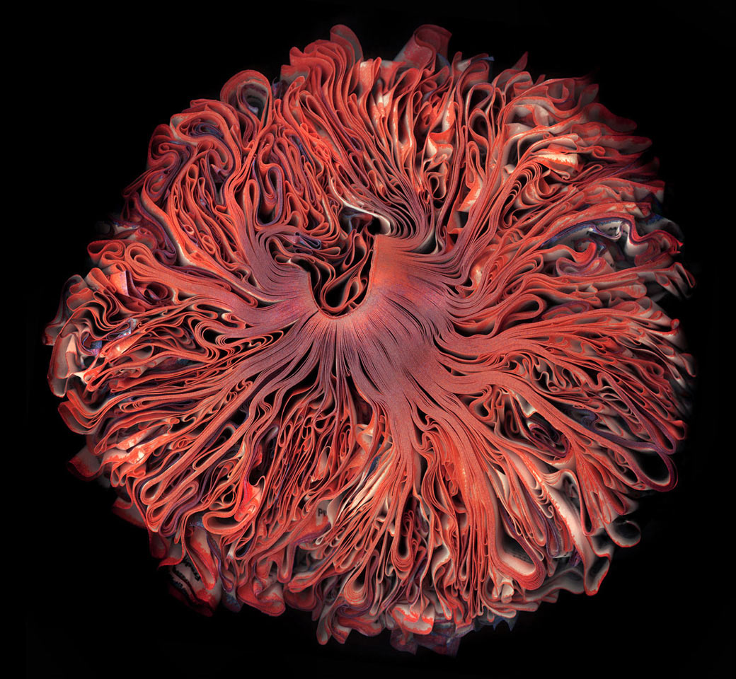 Book Vessel, by Laura Hennessy (USA)

3rd place in the Still Life category