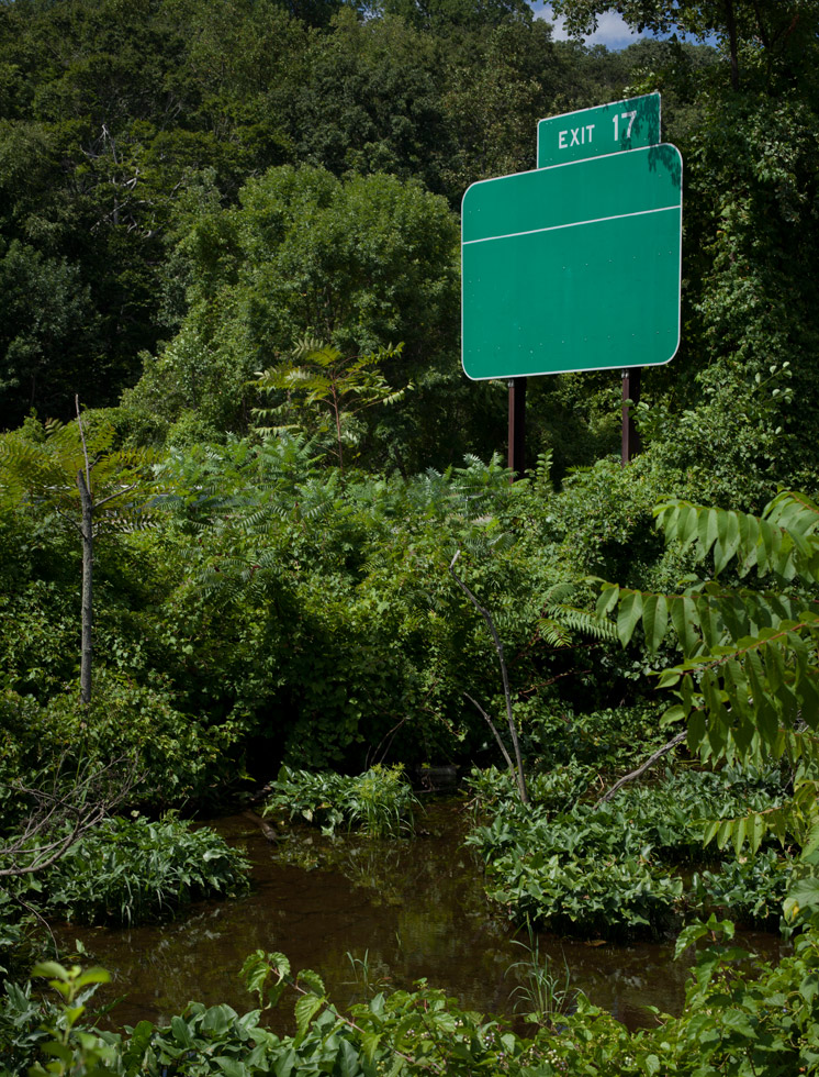 From the series: Joshua Lutz: Hesitating Beauty