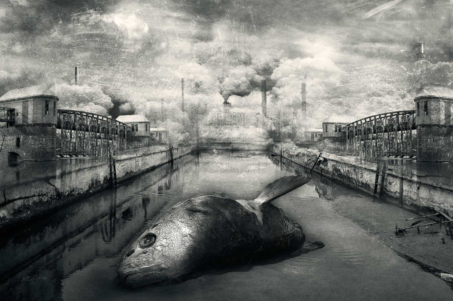 Tanais

Dead Cities, 2010