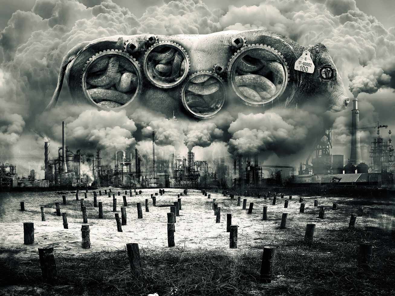 Consumption

Dead Cities, 2010