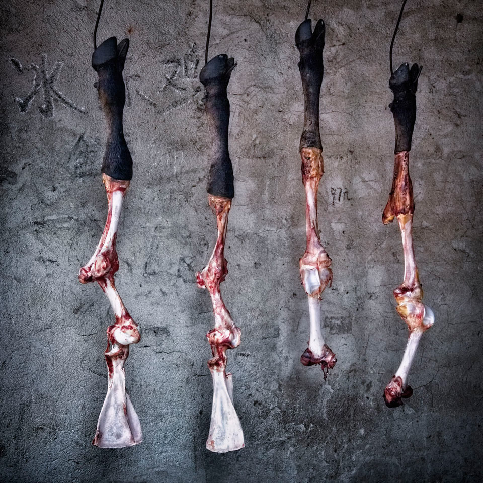 Artful Bones, Village Market, Yunnan, China, by Louis Montrose (USA)

2nd place in the Still Life category