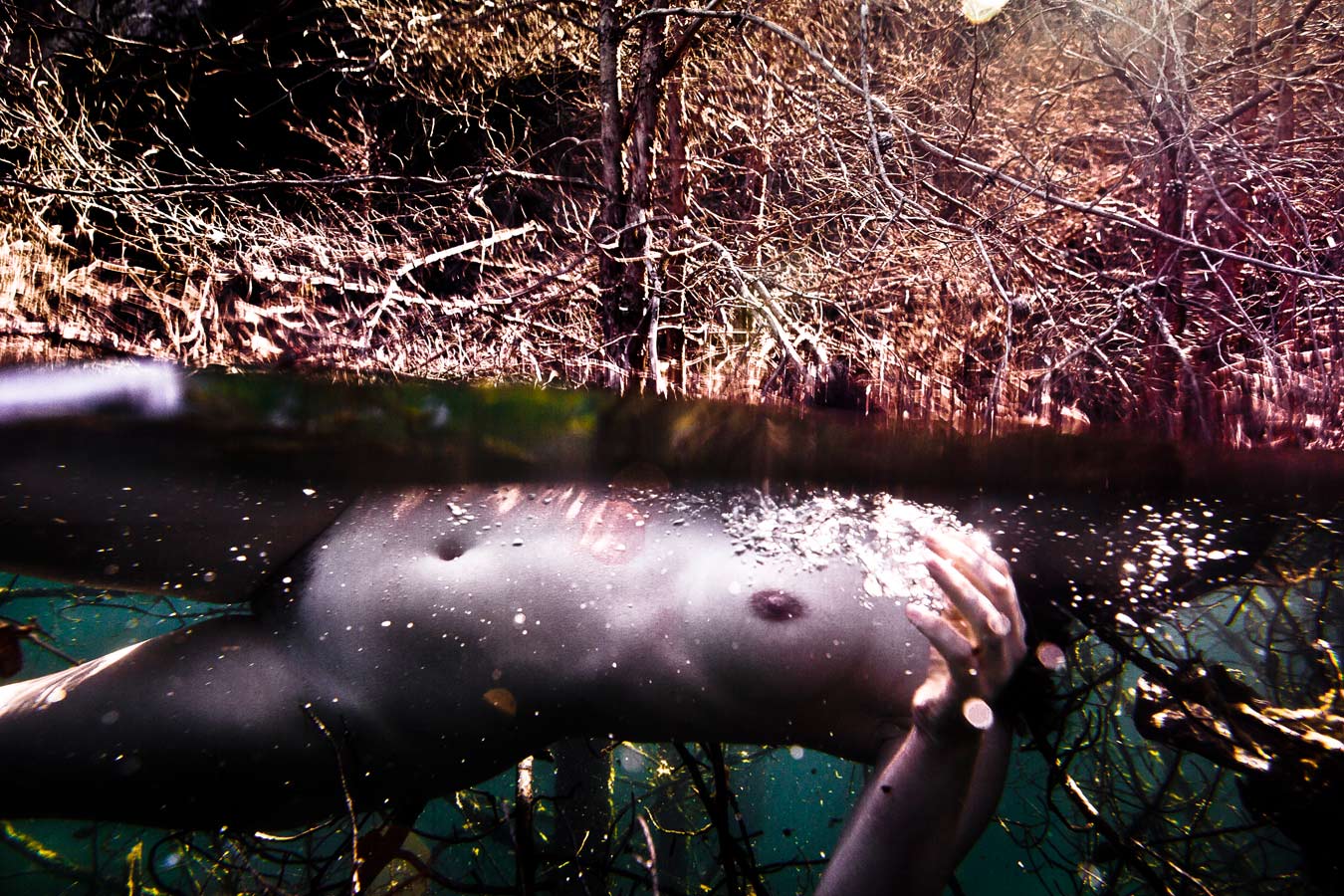 From the series: Neil Craver: Omni-Phantasmic