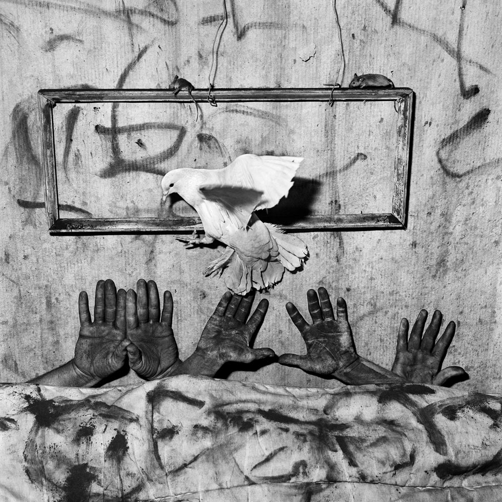 Five Hands, 2006