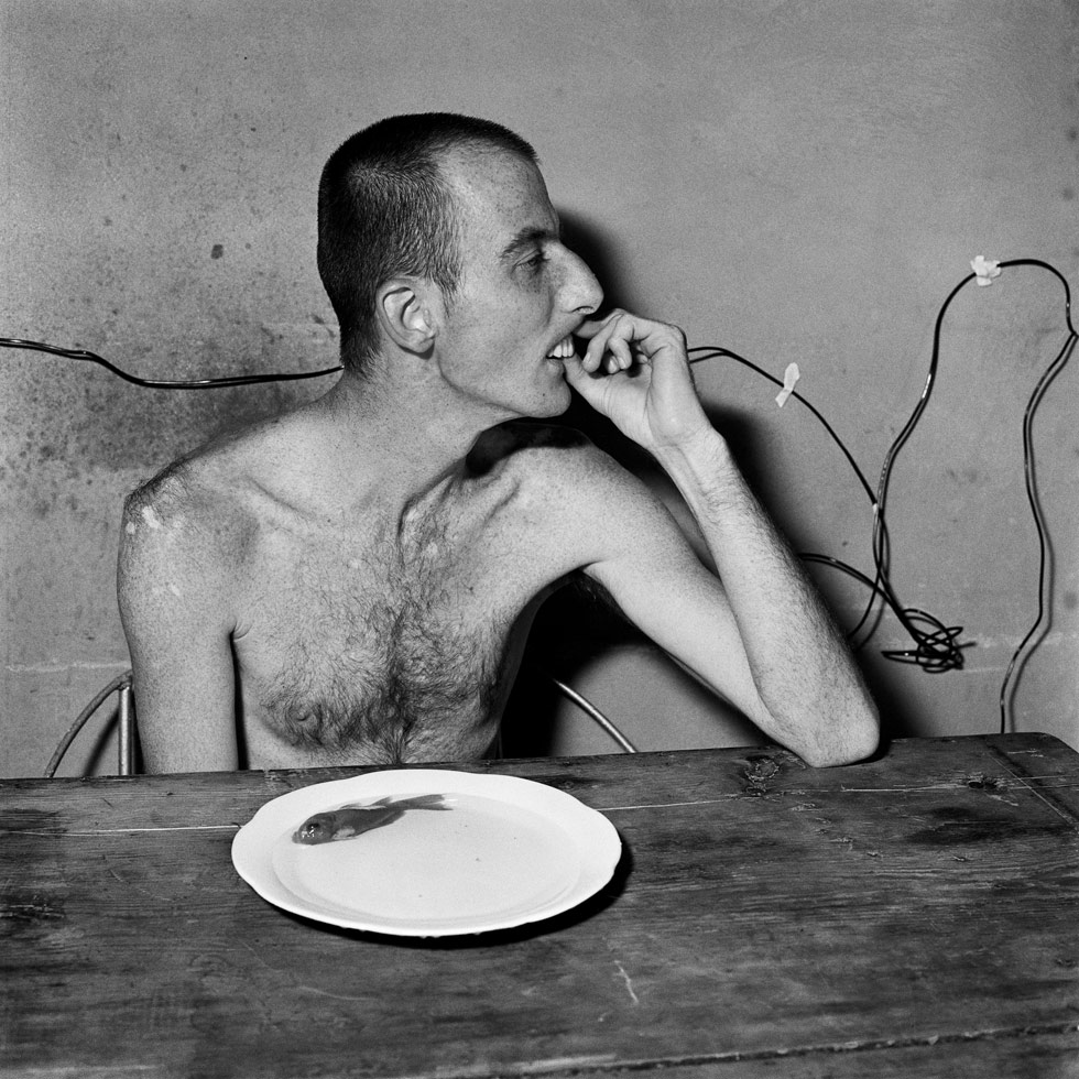 Images are from across Roger Ballen's work from 2000 - 2011, with text drawn from video and audio interviews with Lens Culture.