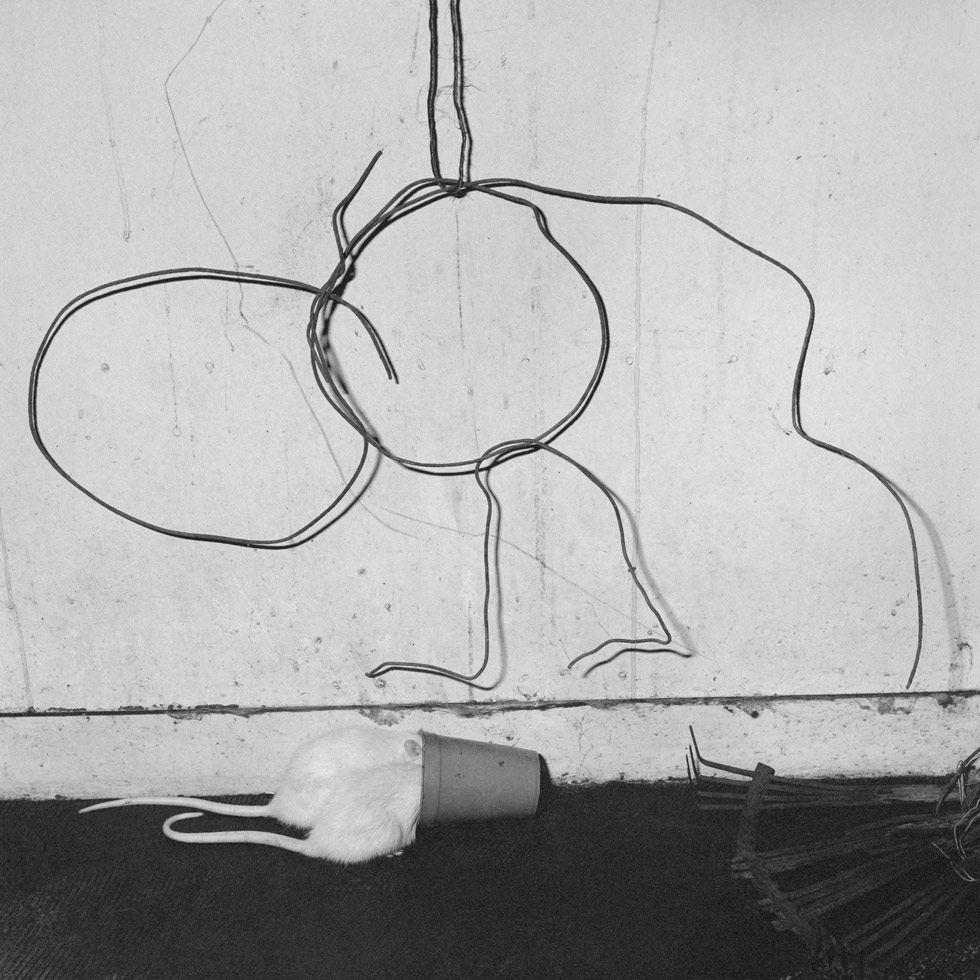 Stalked, 2005