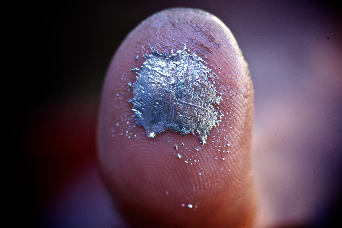 A miner has washed away stone sediment to leave behind this mercury-gold amalgam known as 'asoga.' The miner manually squeezes out liquid mercury to leave the harder part of the amalgam, loaded with gold particles. Don't do this at home - mercury is absorbed by the skin.