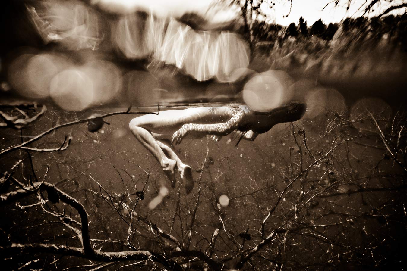 From the series: Neil Craver: Omni-Phantasmic