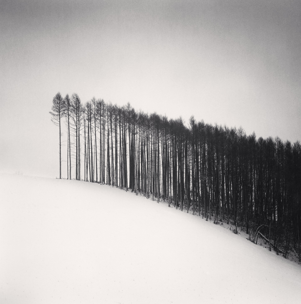 Forest Edge 
Hokuto, Hokkaido, Japan, 2004