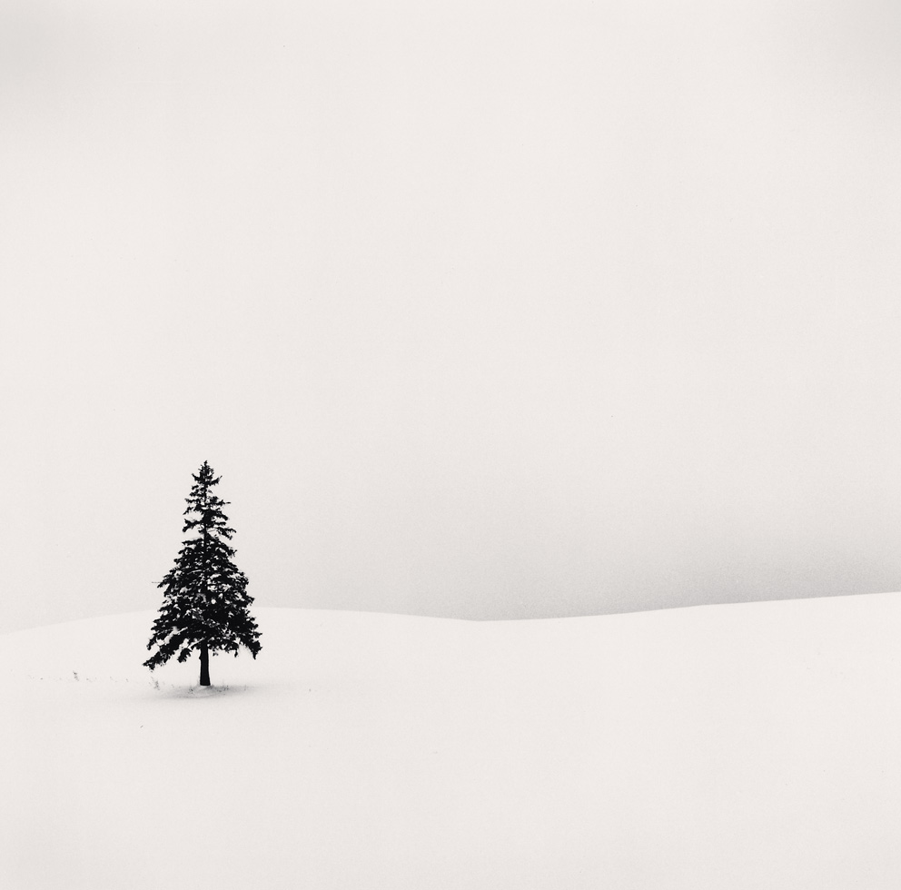 Lone Tree
Bibaushi, Hokkaido, Japan, 2004