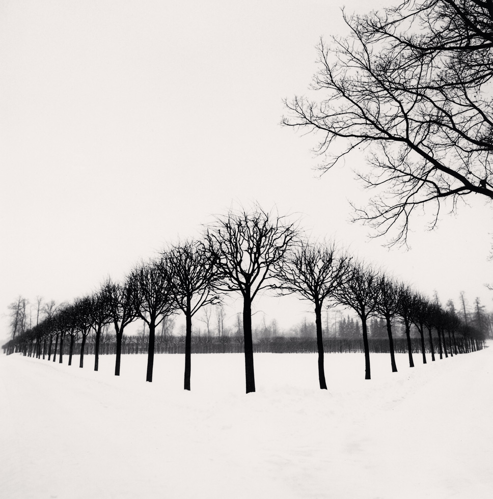 Perspective of Trees
Tsarskoe Selo, Russia, 1999