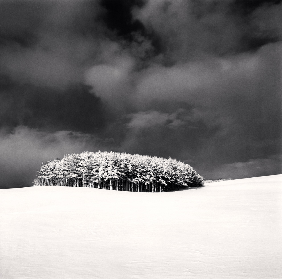 White Copse, Study 3 
Wakkanai, Hokkaido, Japan, 2004
