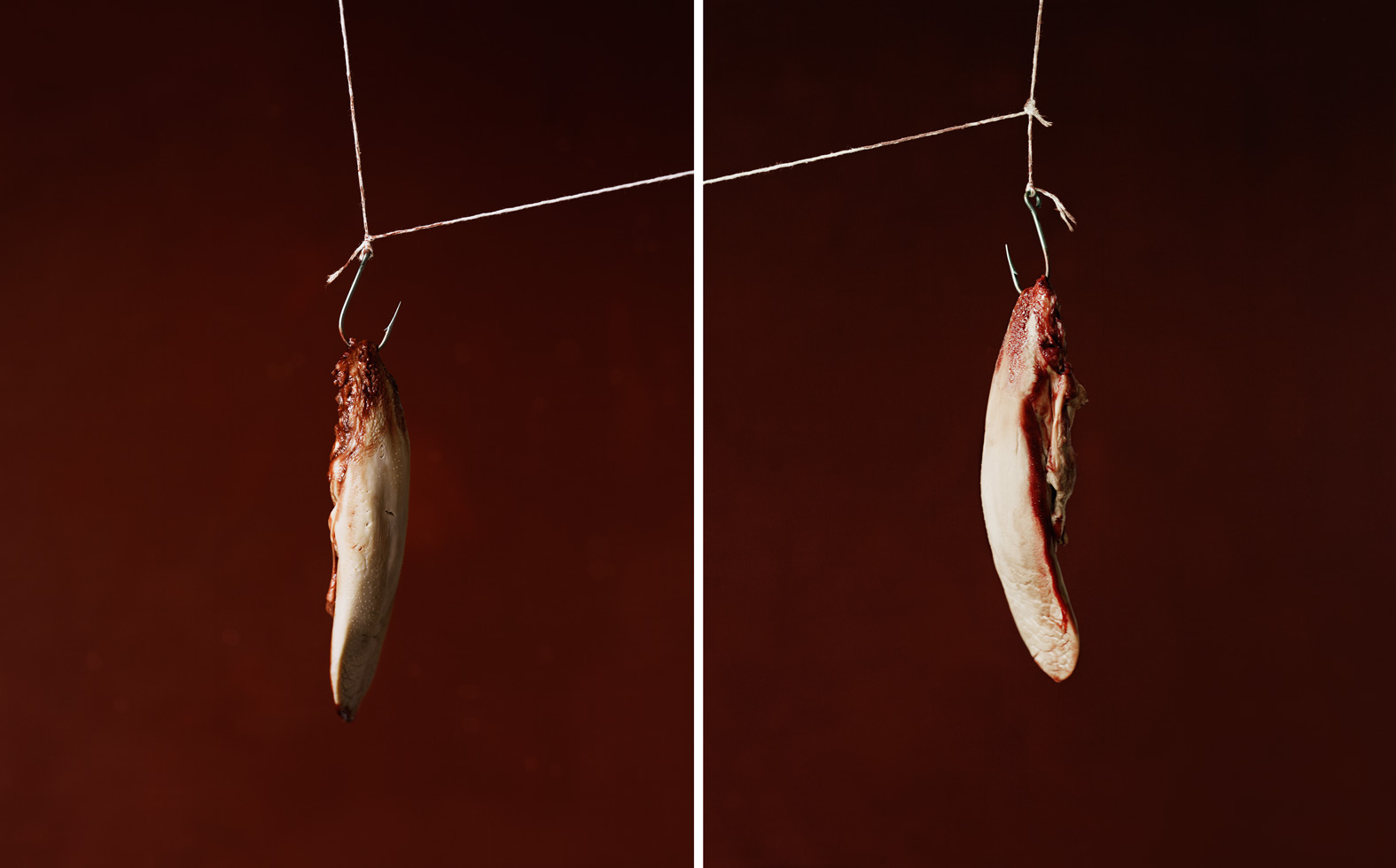Untitled No. 9 (from the series 'Impulses'), 2012