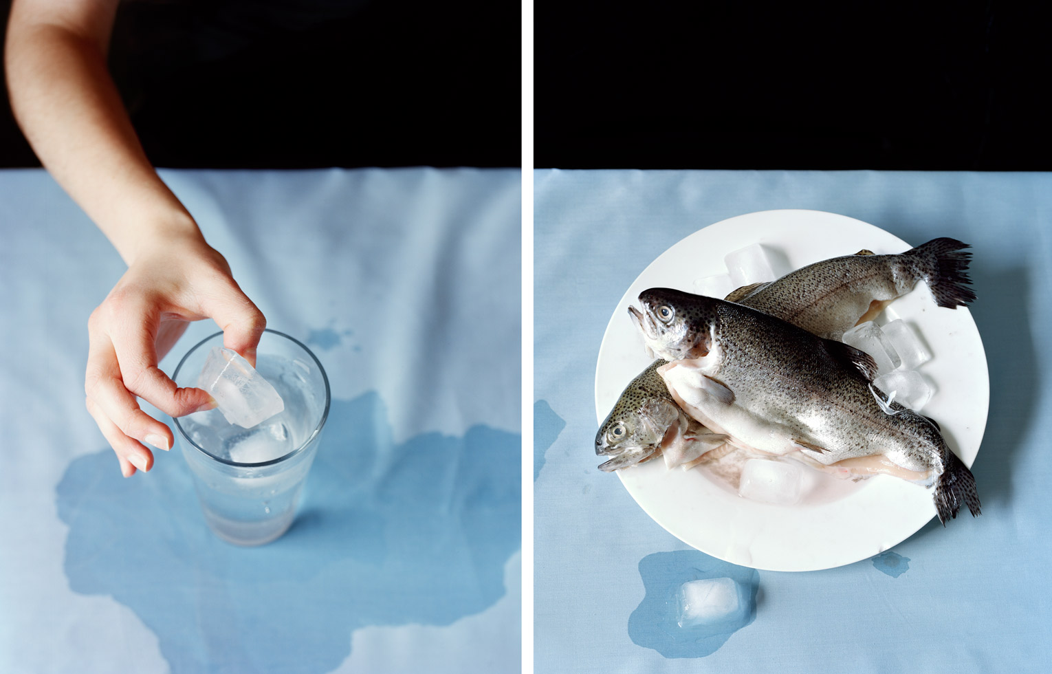 Untitled No. 11 (from the series 'Lessons of Impermanence'), 2009